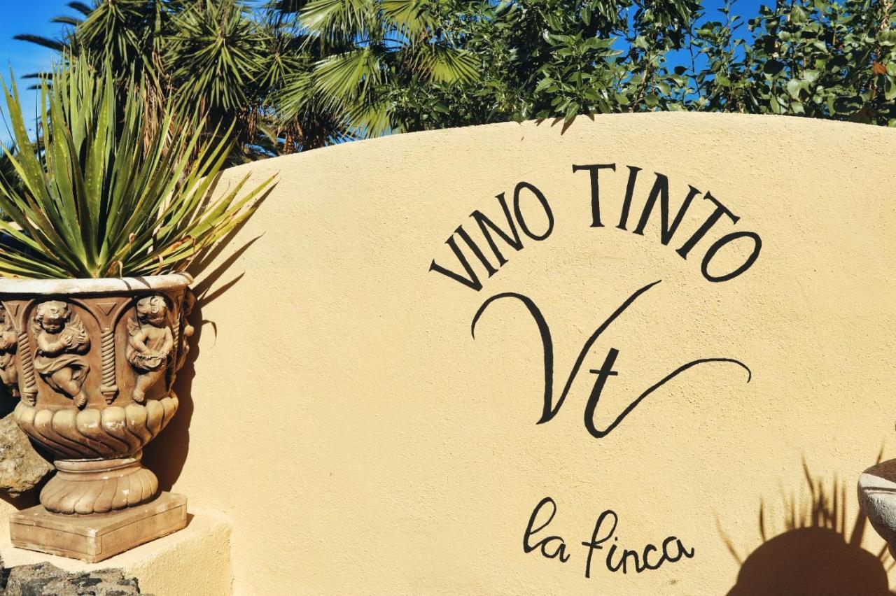 Finca Vino Tinto 2 Icod De Los Vinos Exterior foto
